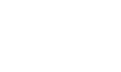 partner_100procent_proffs