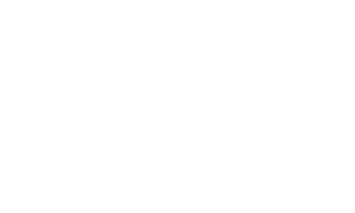 partner_rubino